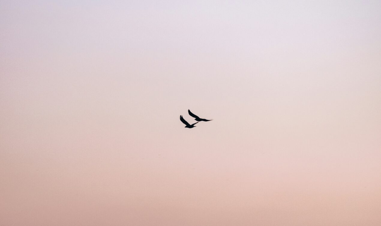 Seek God -He Answers