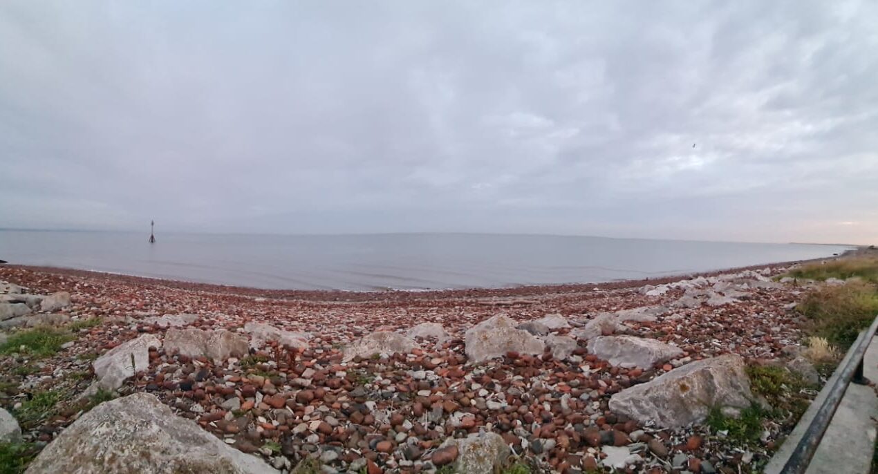 Complexities Of Life