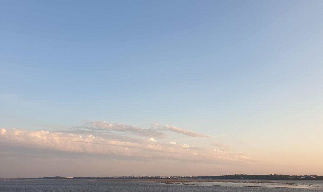 Thanksgiving And Declarations